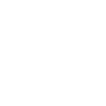 City Wood Logo